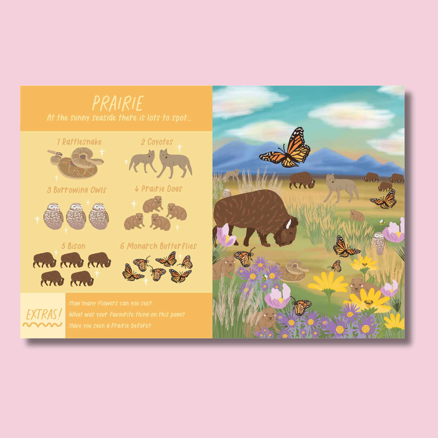 Explore Nature Search and Find by Christie Williams