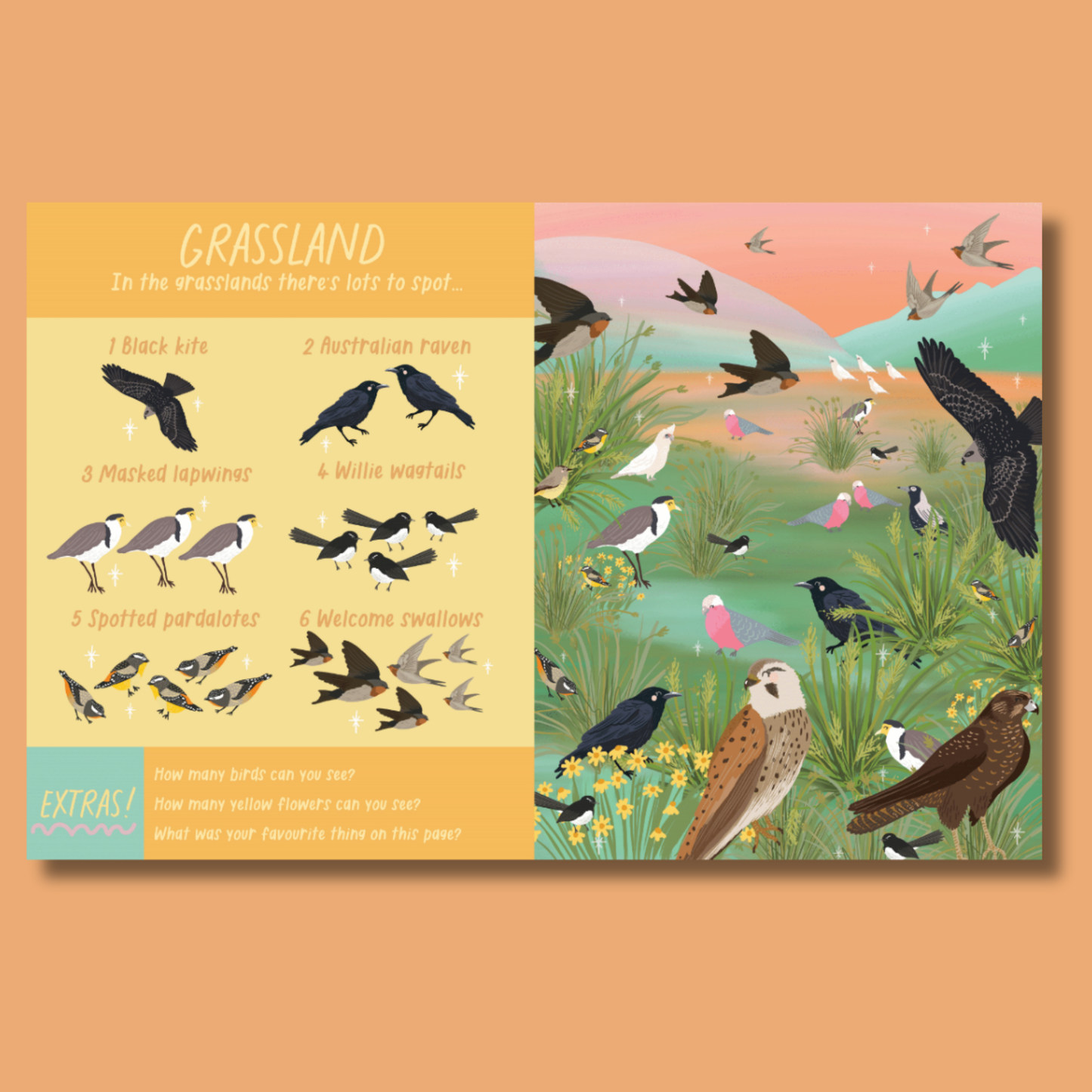 Australian Birds Search and Find by Christie Williams