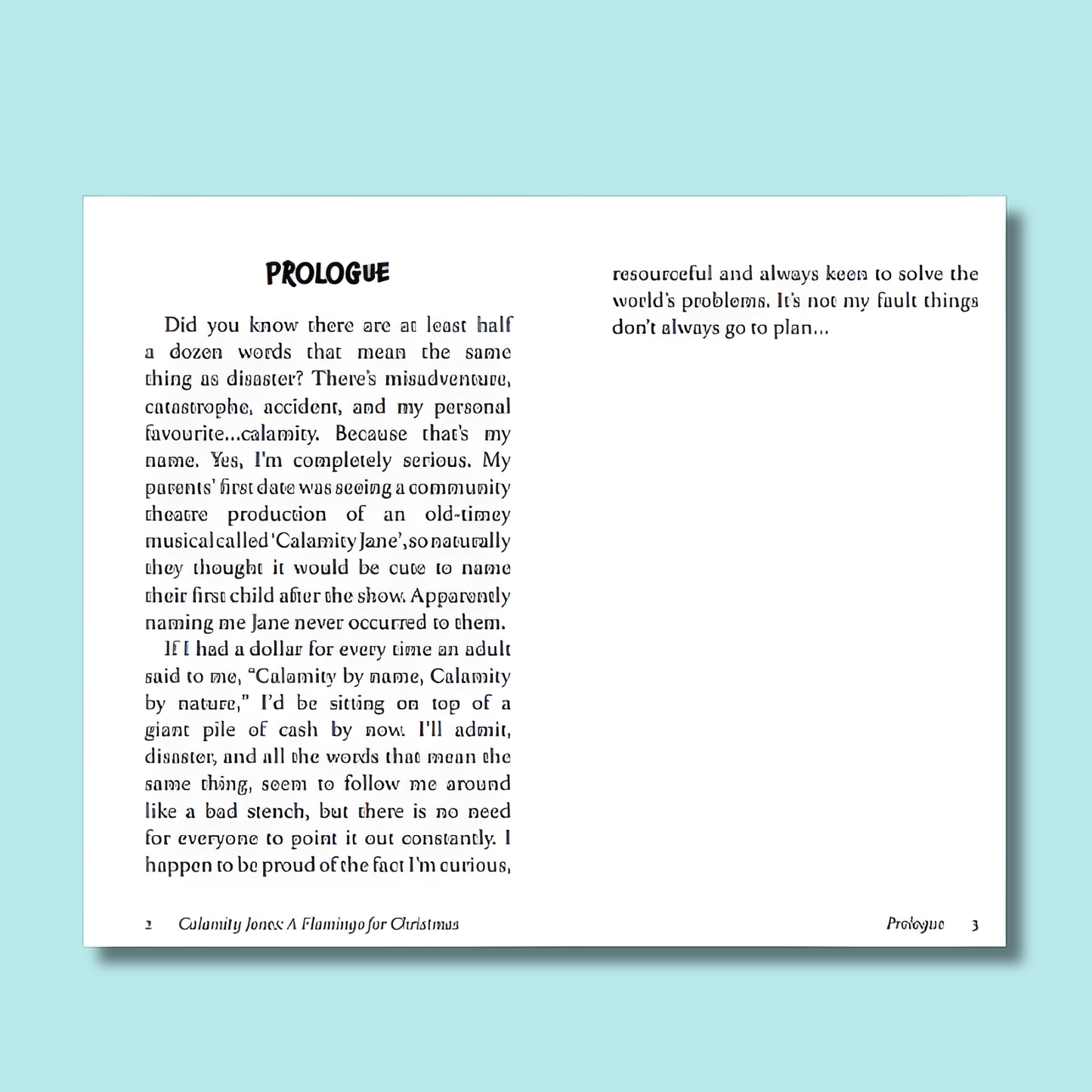 Calamity Jones: A Flamingo for Christmas by Alison McLennan