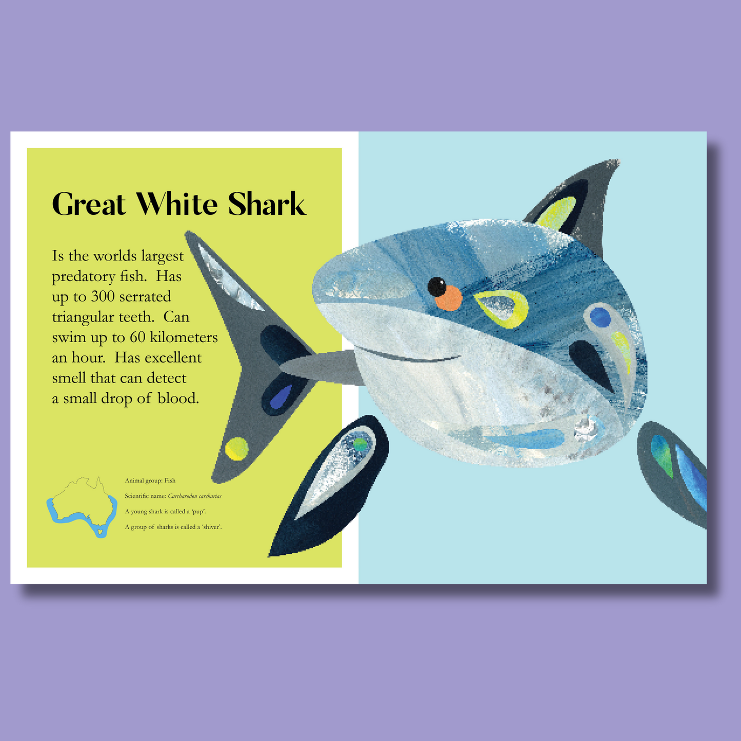 Sealife by Pete Cromer