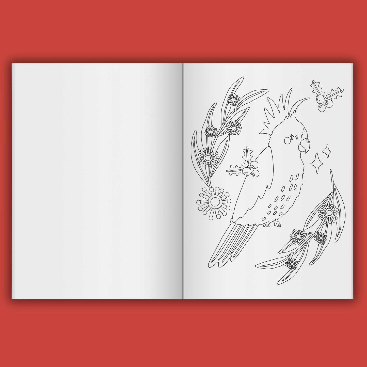 Merry Aussie Christmas Colouring Book by Christie Williams