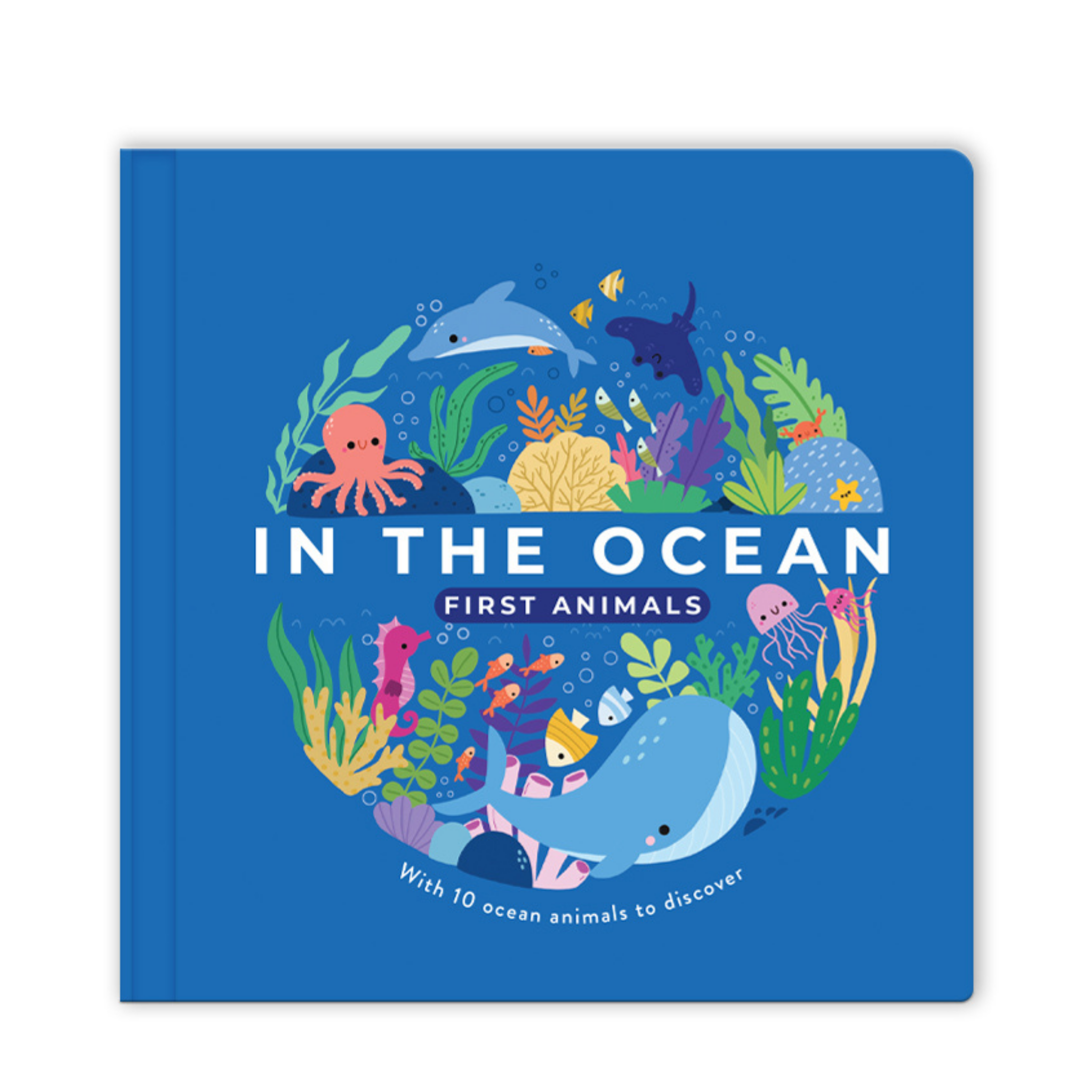 First Animals: In The Ocean