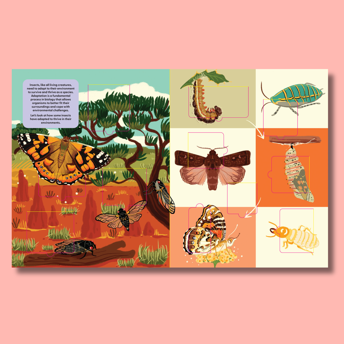 A Lift-the-Fact Book: Insects