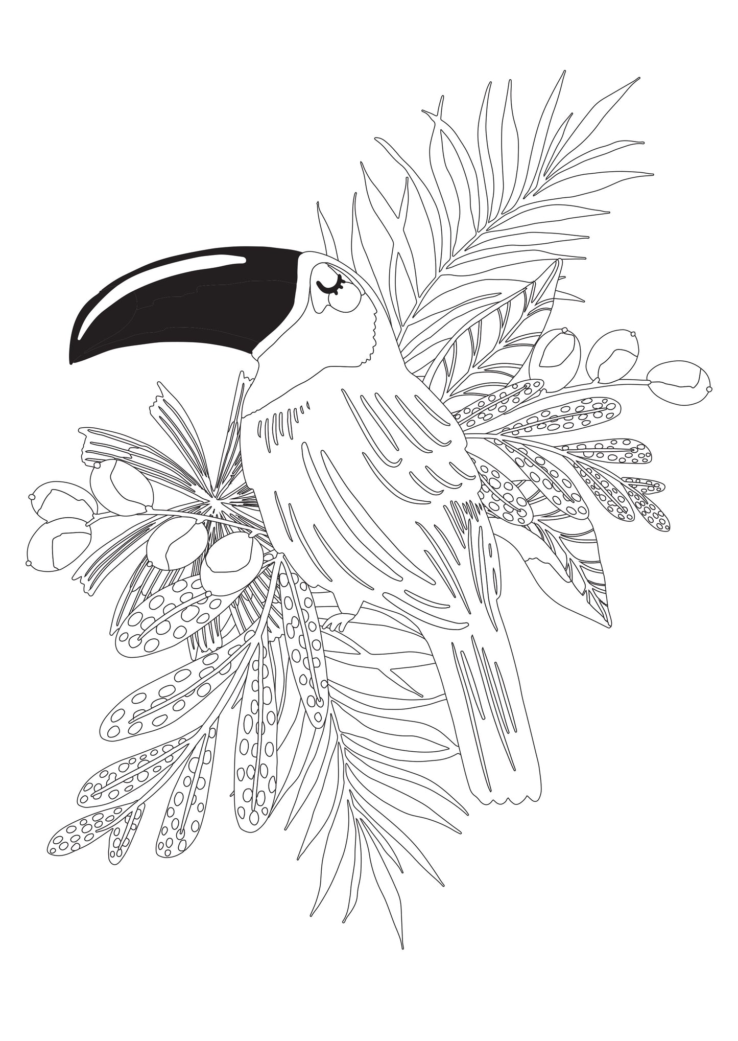 Jungle Dreams Colouring Book