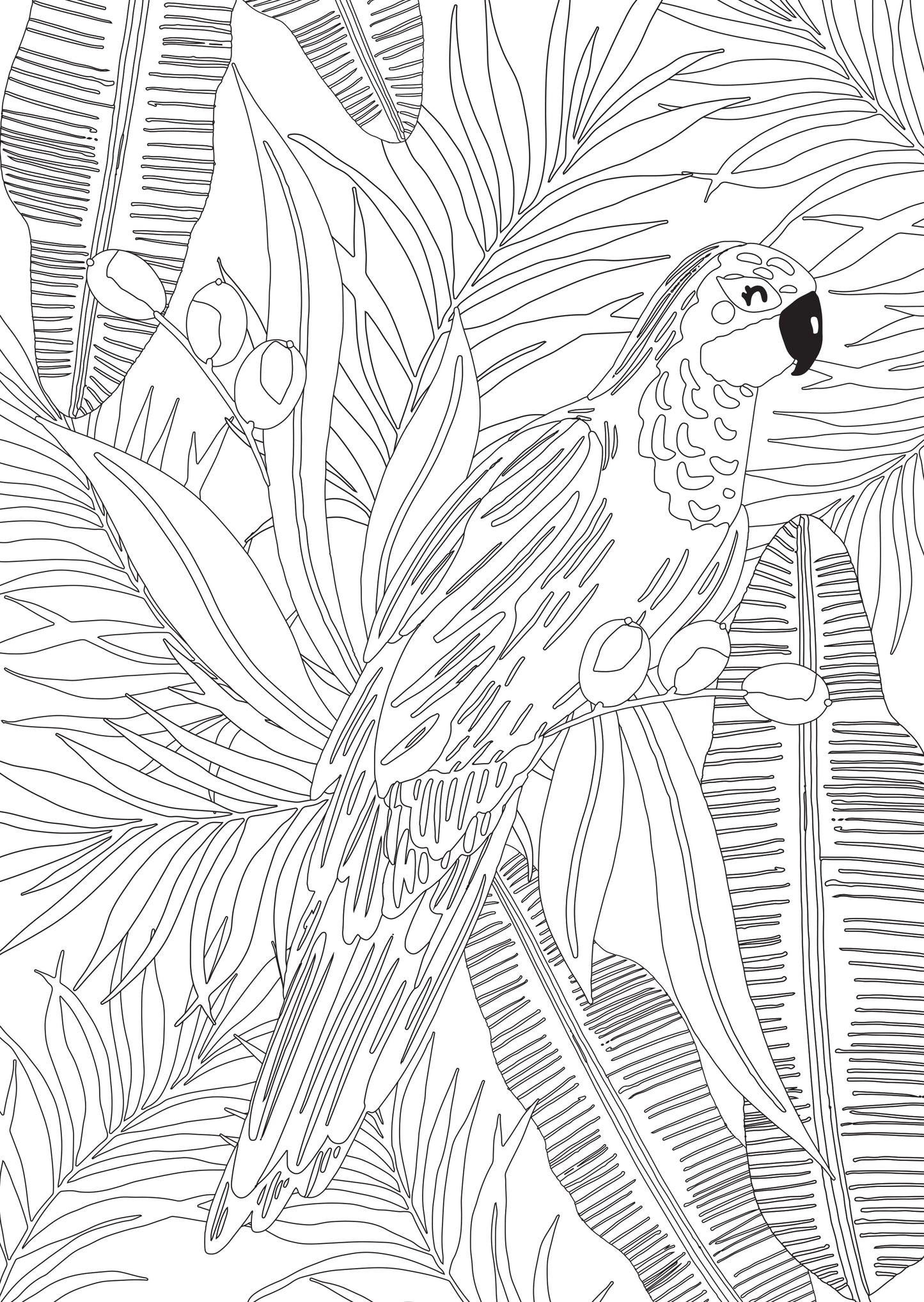 Jungle Dreams Colouring Book
