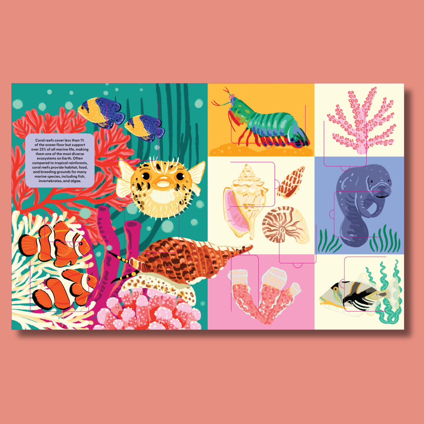 A Lift-the-Fact Book: Ocean Life