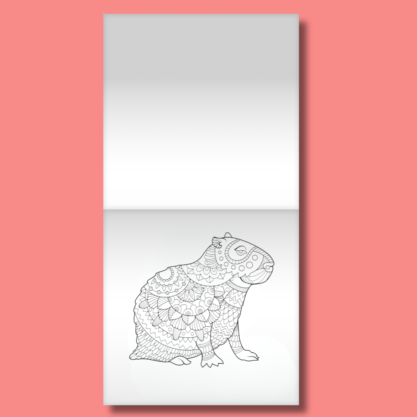 Be Cappy Colour and Scratch Kit