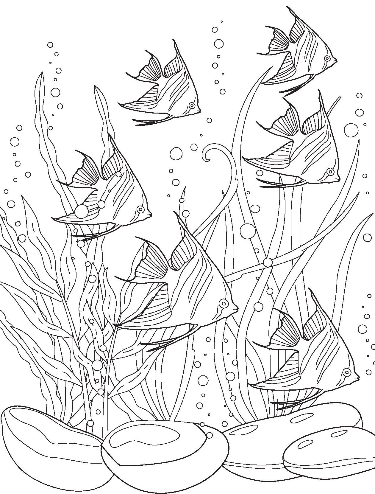 Ocean Wonders Colour and Scratch Book