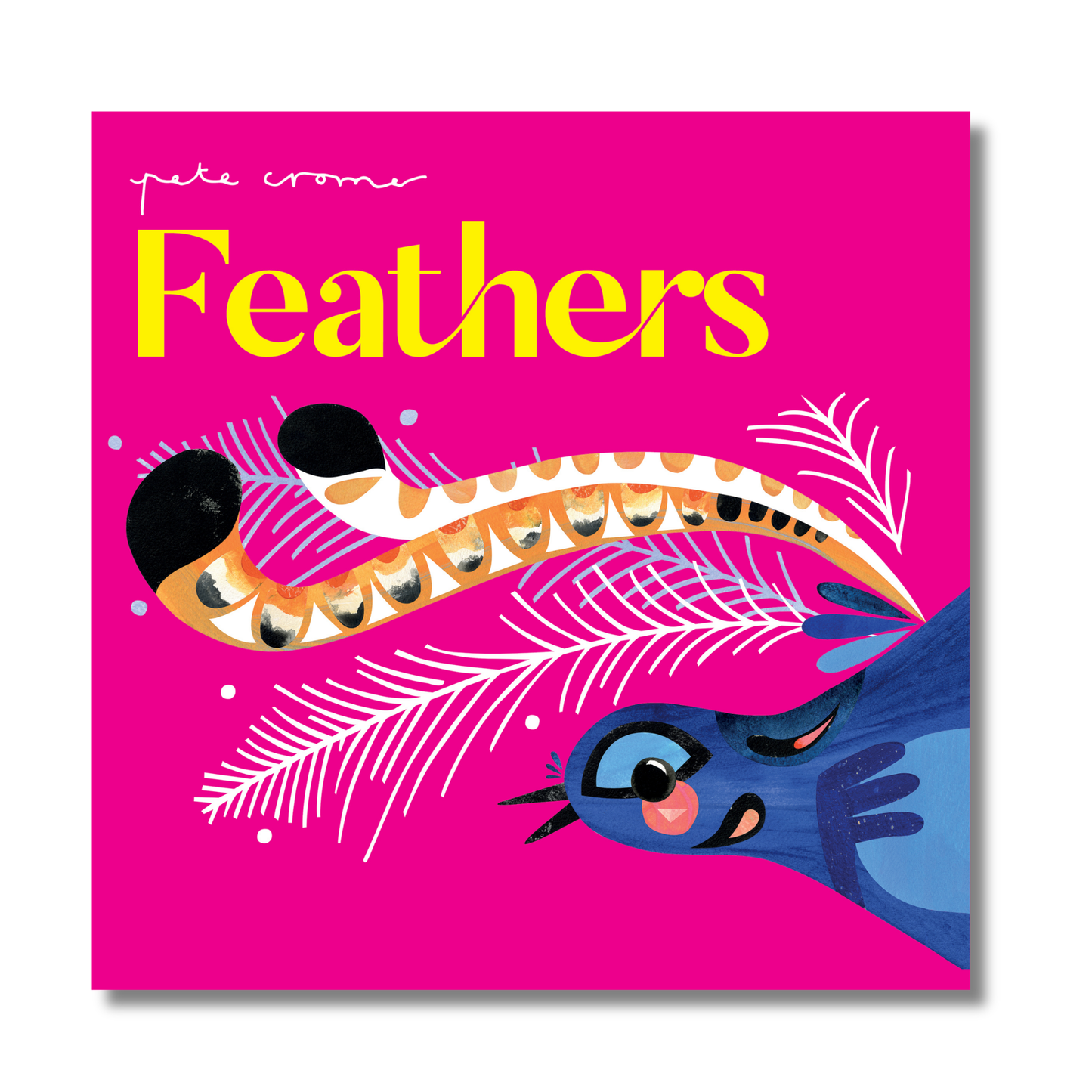 Pete Cromer Collection: 5 Board Book Slipcase