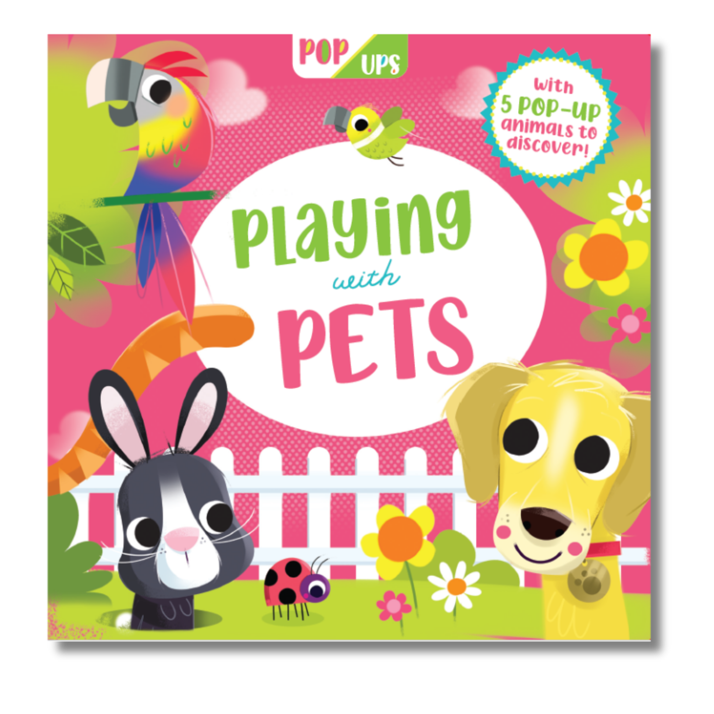 Pop Ups: Playing with Pets