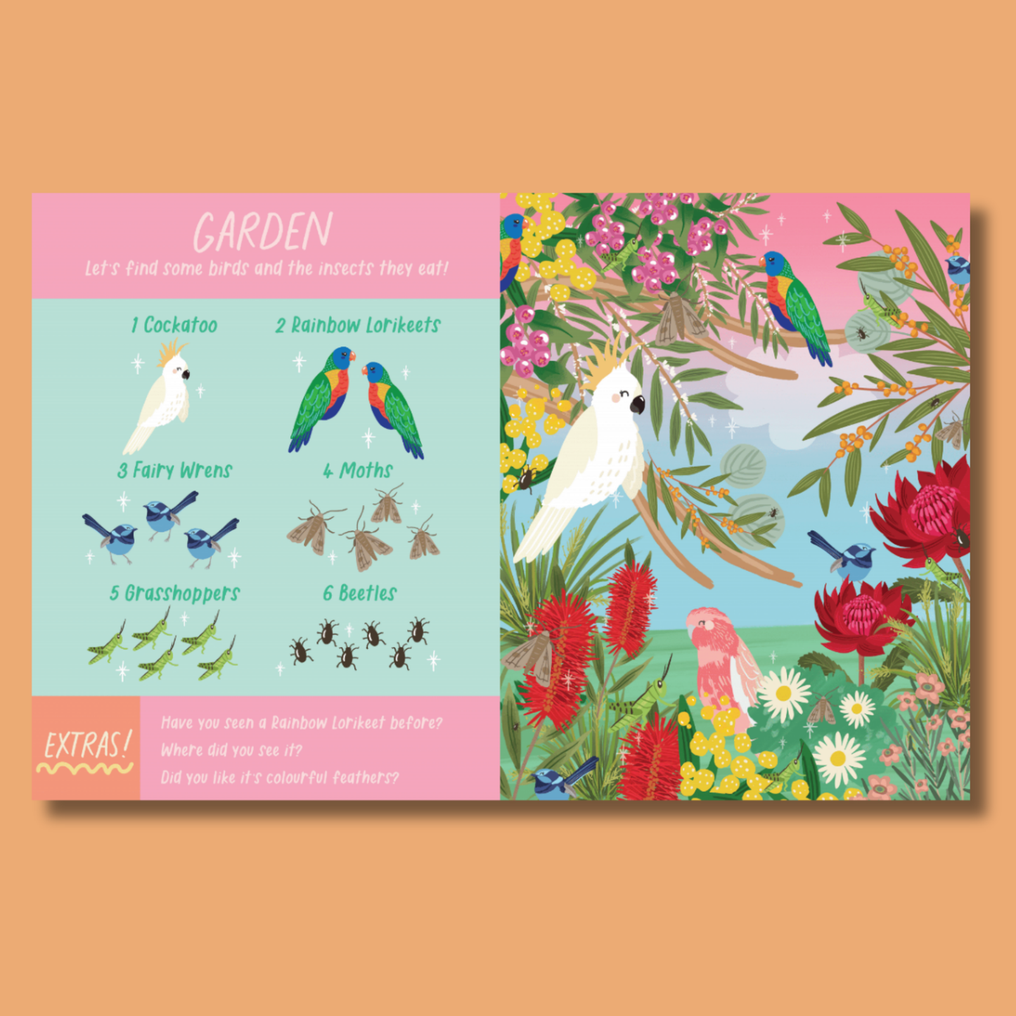 Australian Birds Search and Find by Christie Williams