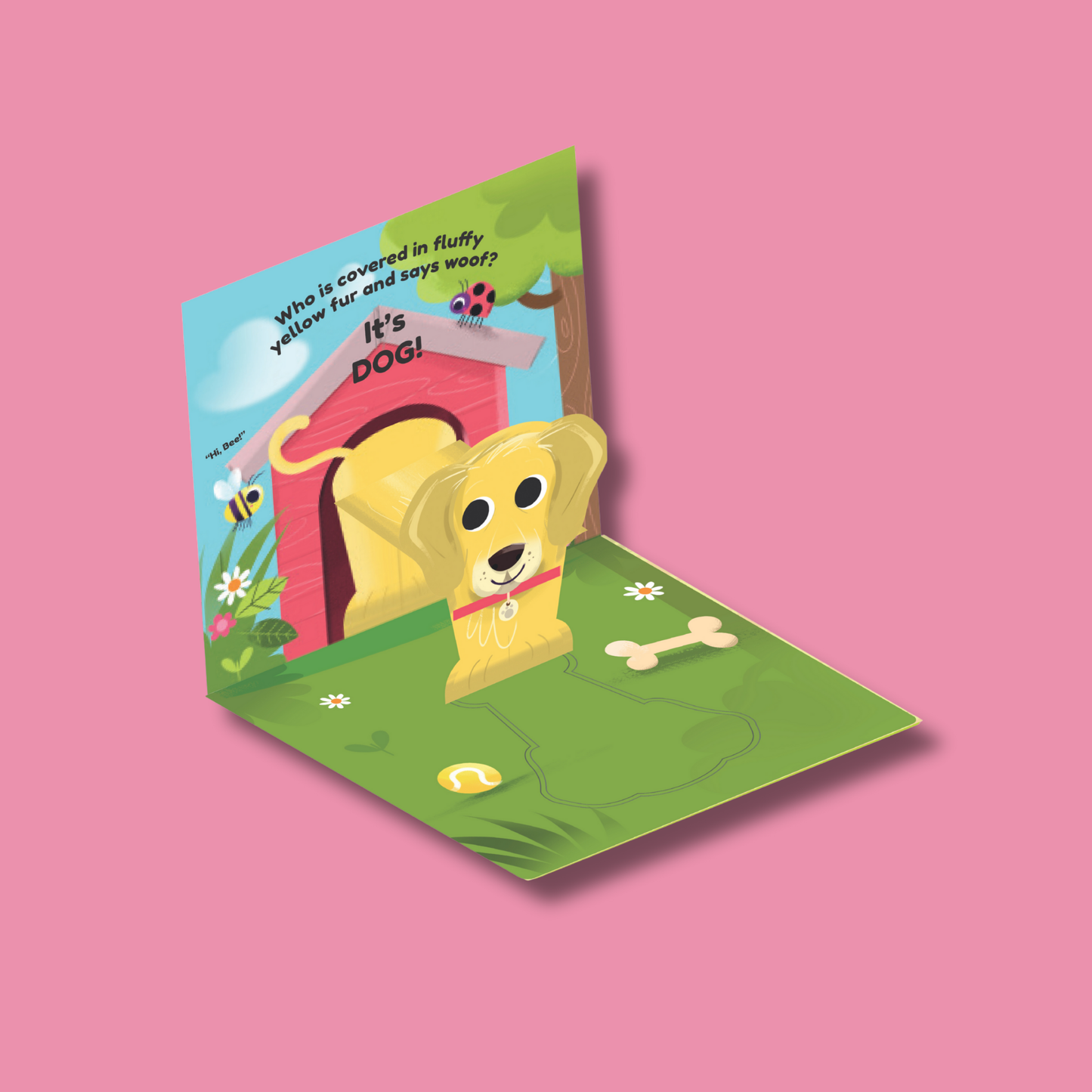 Pop Ups: Playing with Pets