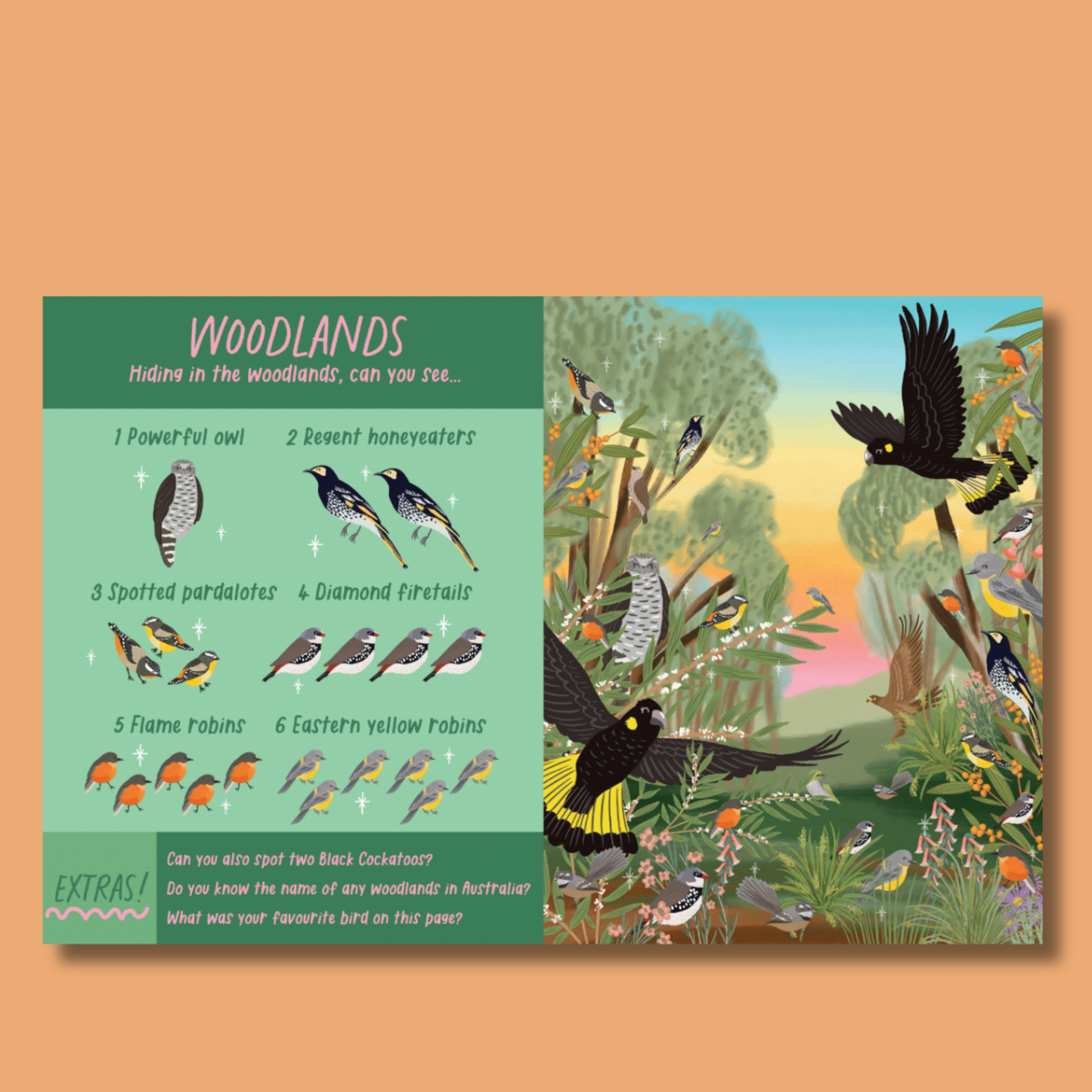 Australian Birds Search and Find by Christie Williams