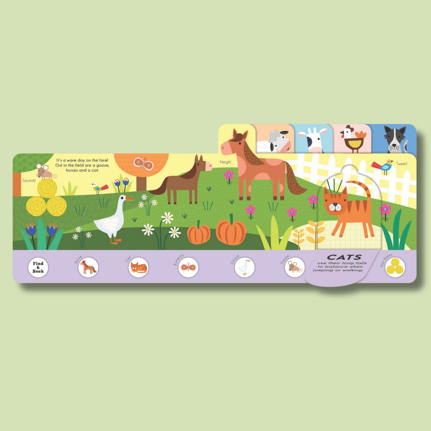 Find and Seek Farmyard Explorers