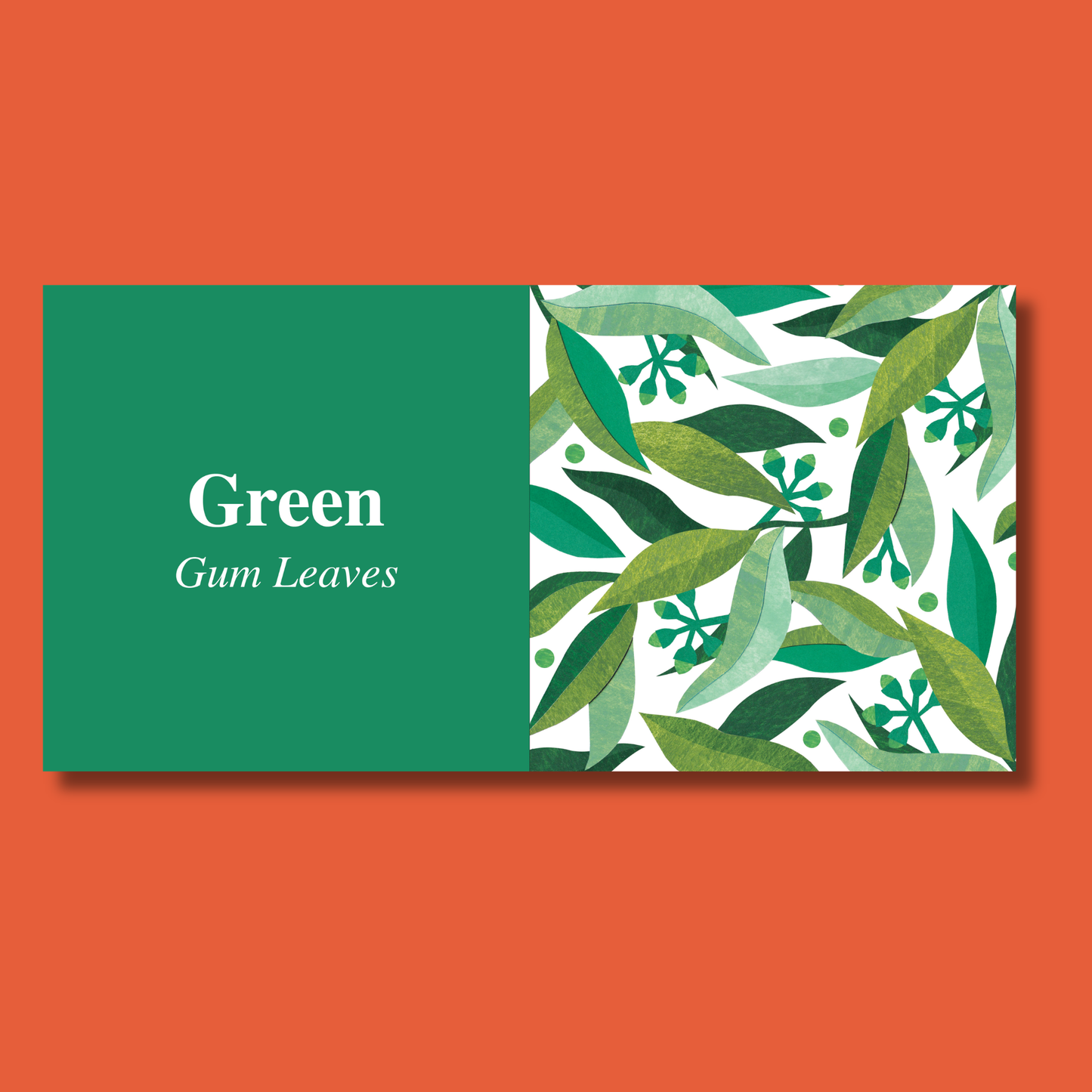 Colours with Flora by Andrea Smith