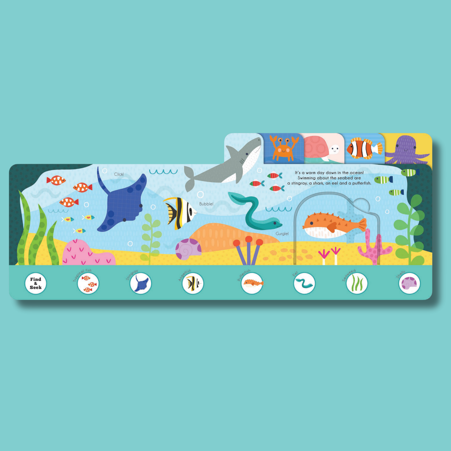 Find and Seek Ocean Explorers