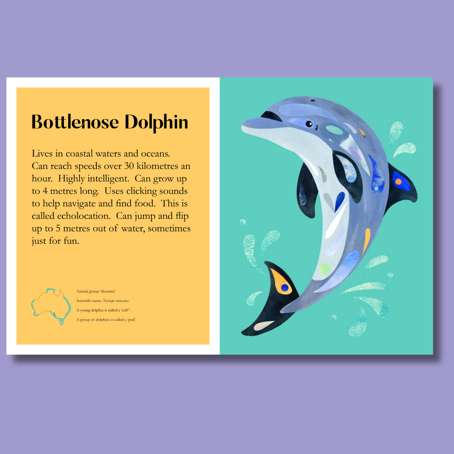 Sealife by Pete Cromer