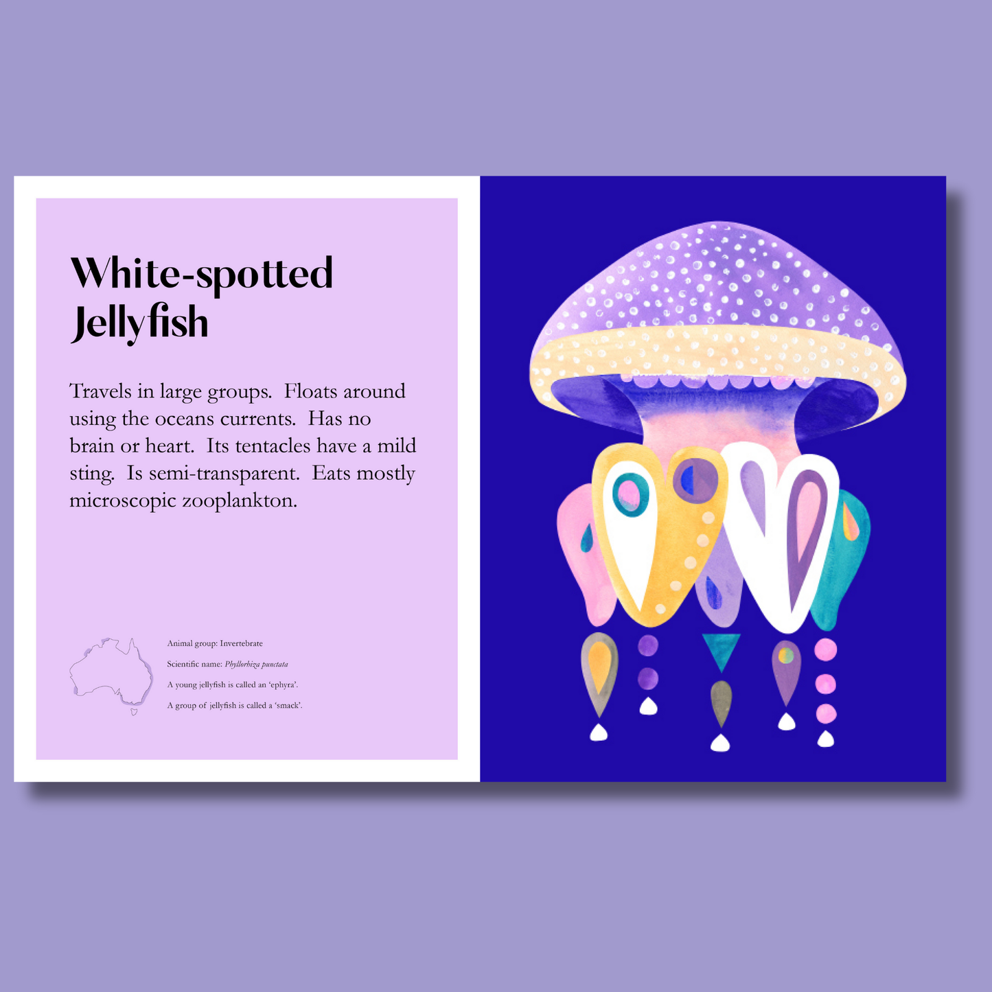 Sealife by Pete Cromer