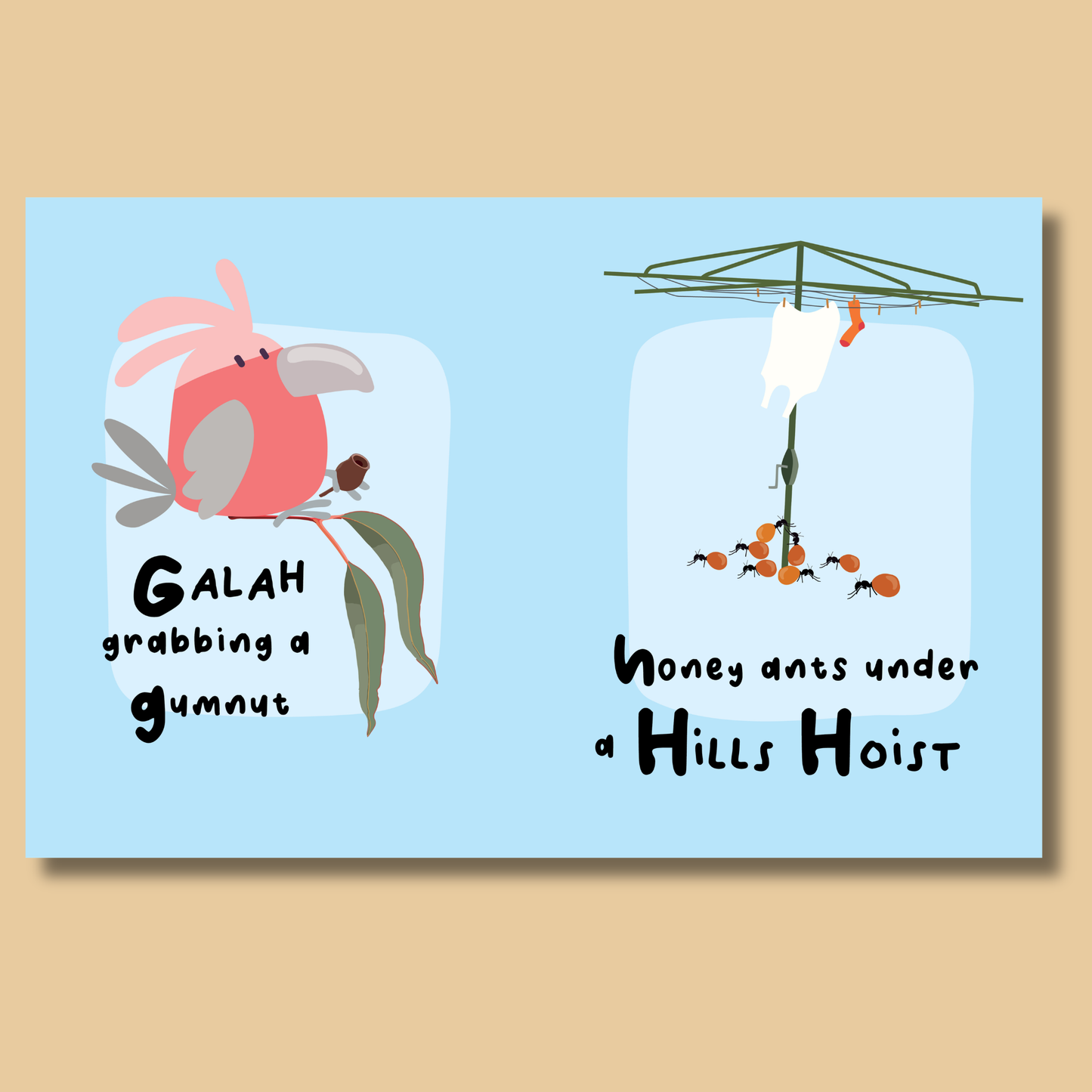 Australian Alphabet by Consuelo F Ortiz