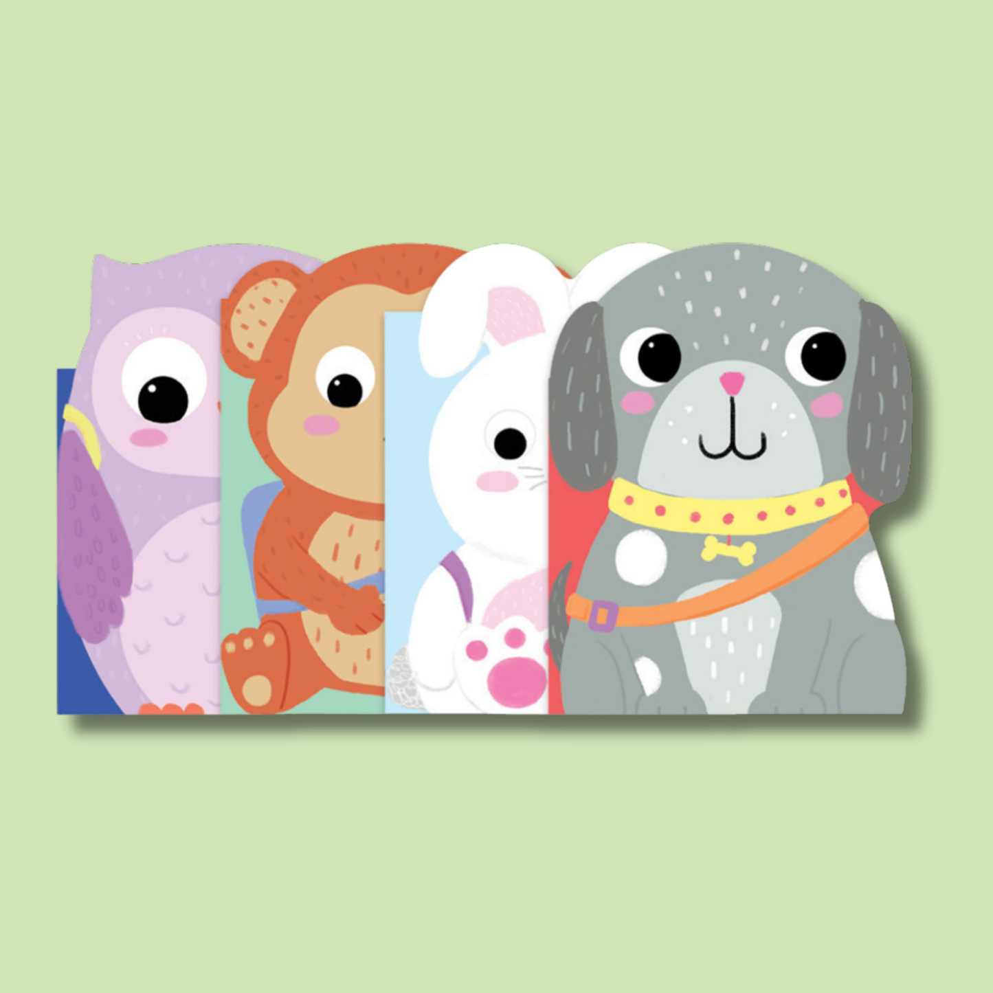 Animal Adventures 4 Board Book Slipcase