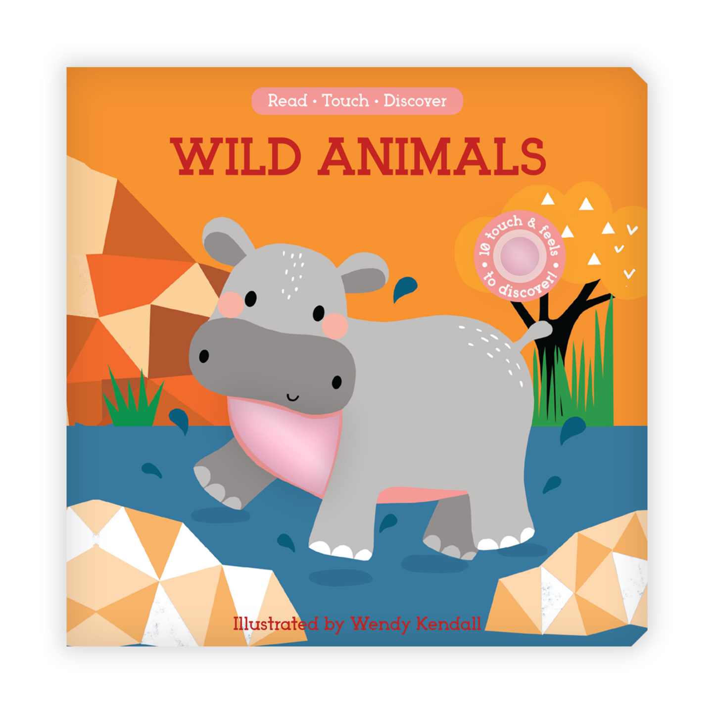 Read, Touch, Discover: Wild Animals