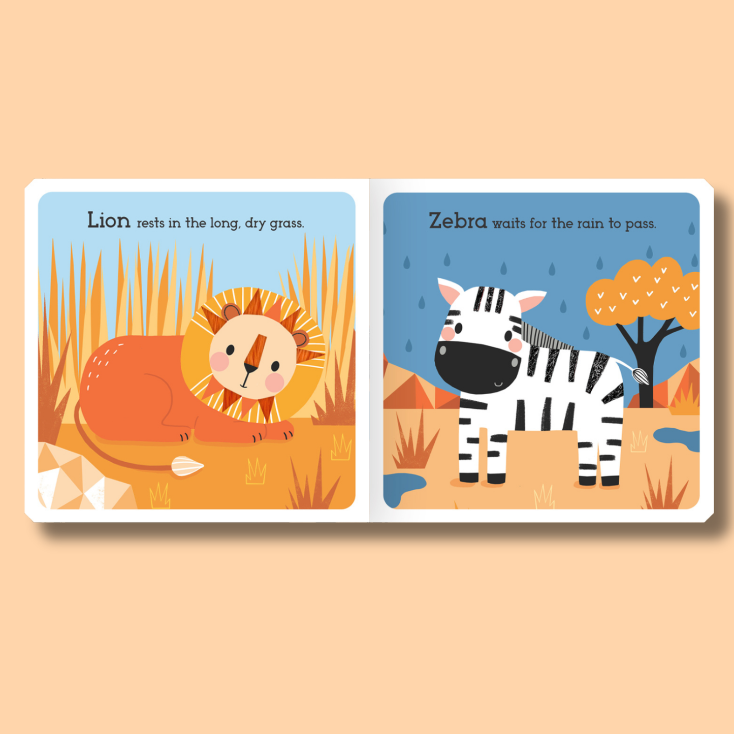 Read, Touch, Discover: Wild Animals