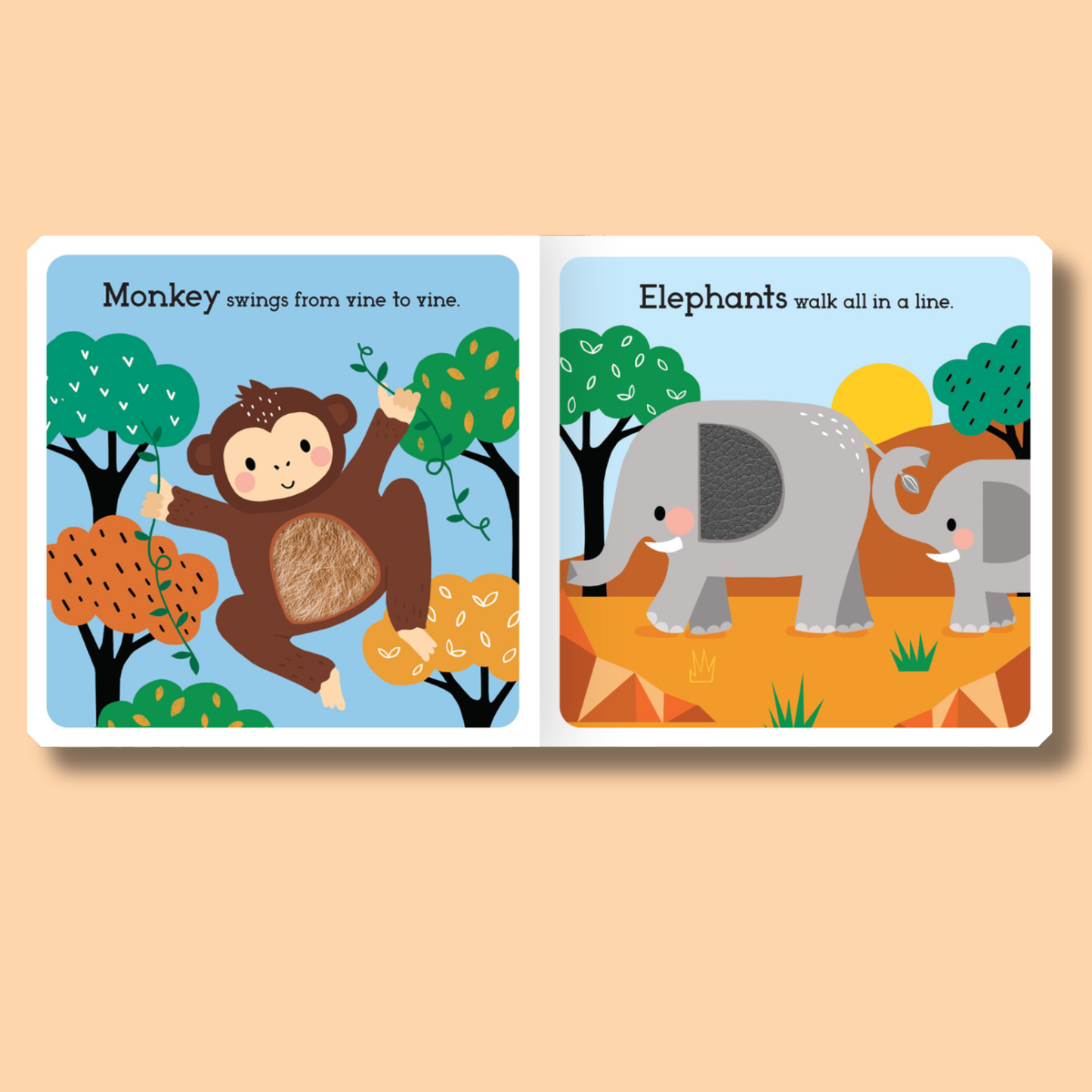 Read, Touch, Discover: Wild Animals