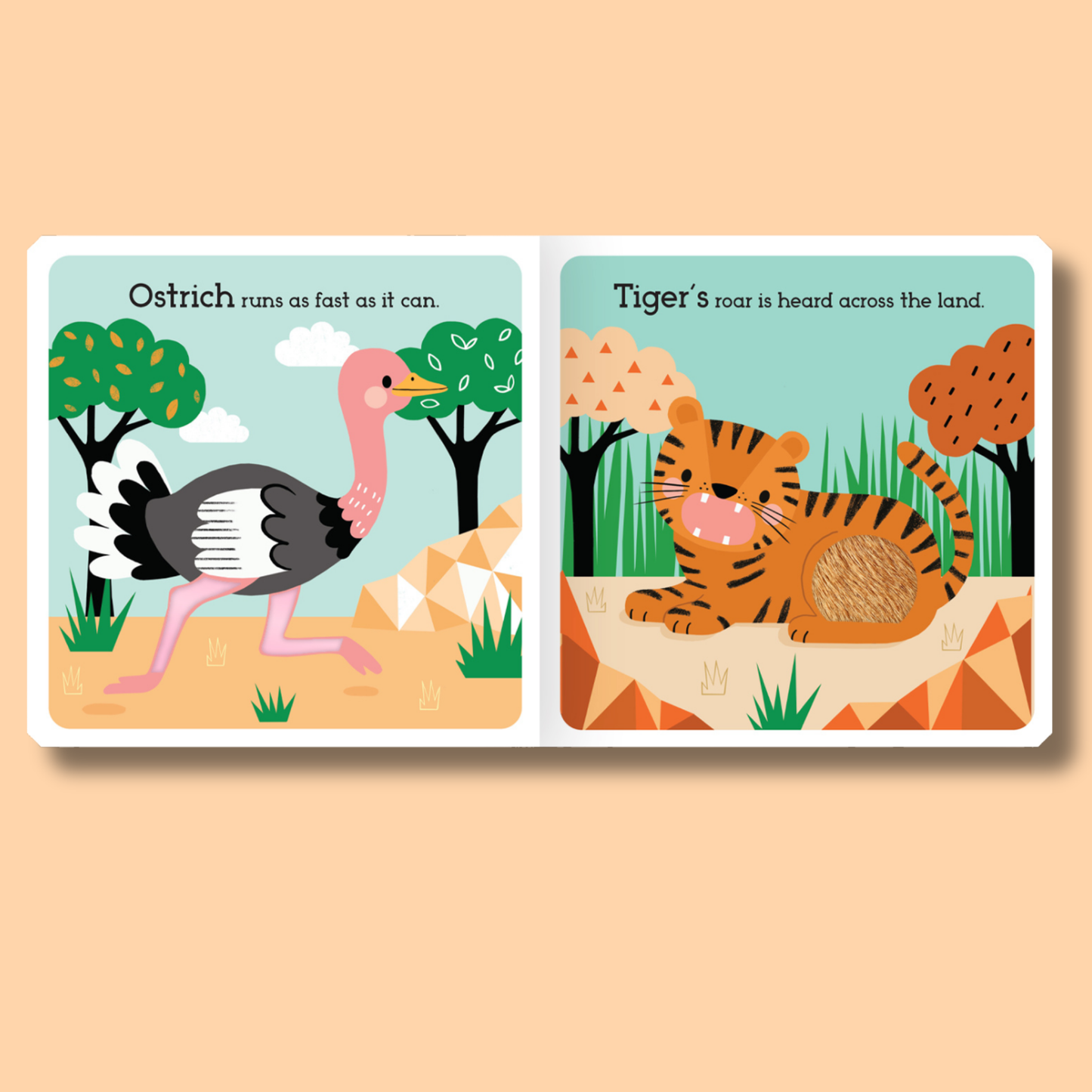 Read, Touch, Discover: Wild Animals