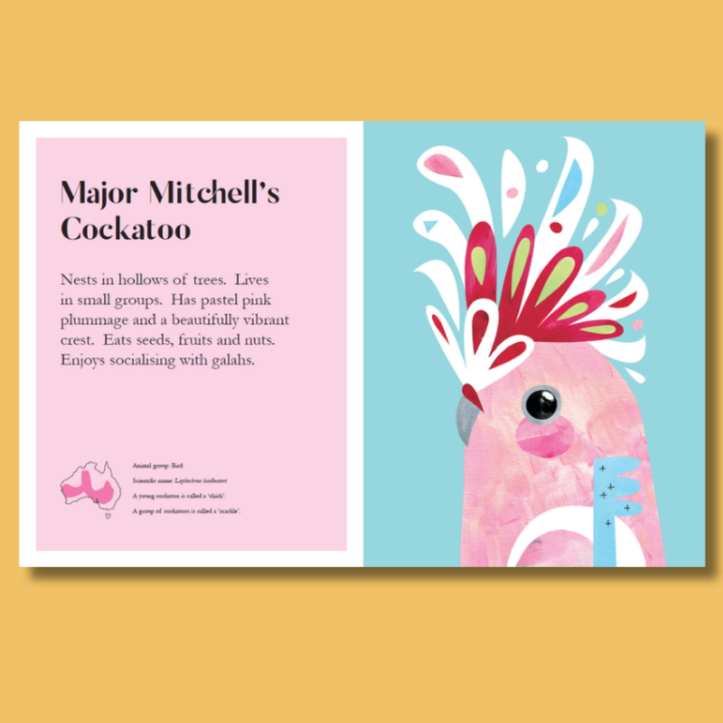 Bushlife by Pete Cromer - Hardback Version