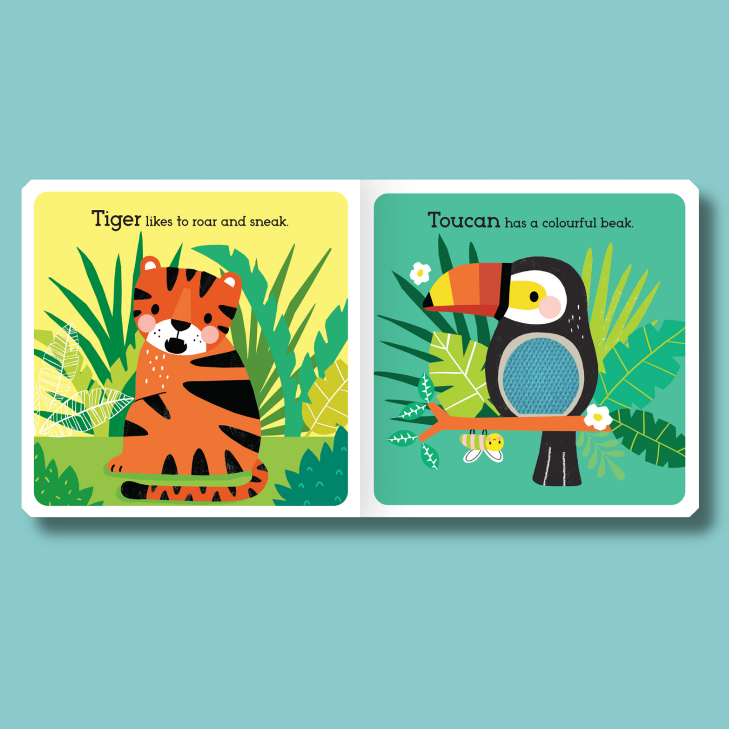 Read, Touch, Discover: Wild Rainforest