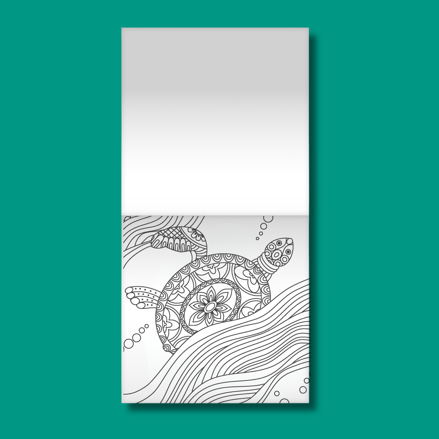 Ocean Wonders Colour and Scratch Book