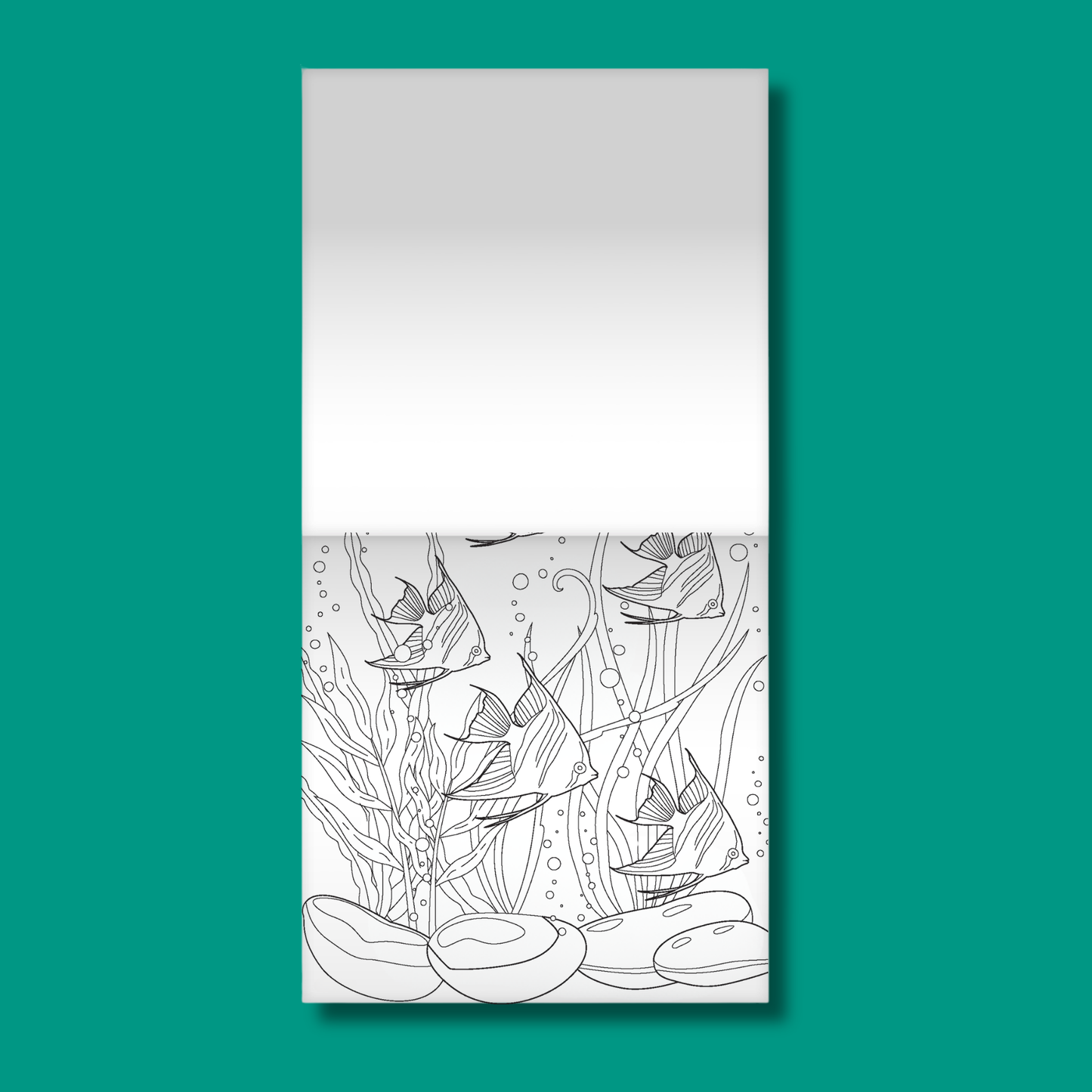 Ocean Wonders Colour and Scratch Book