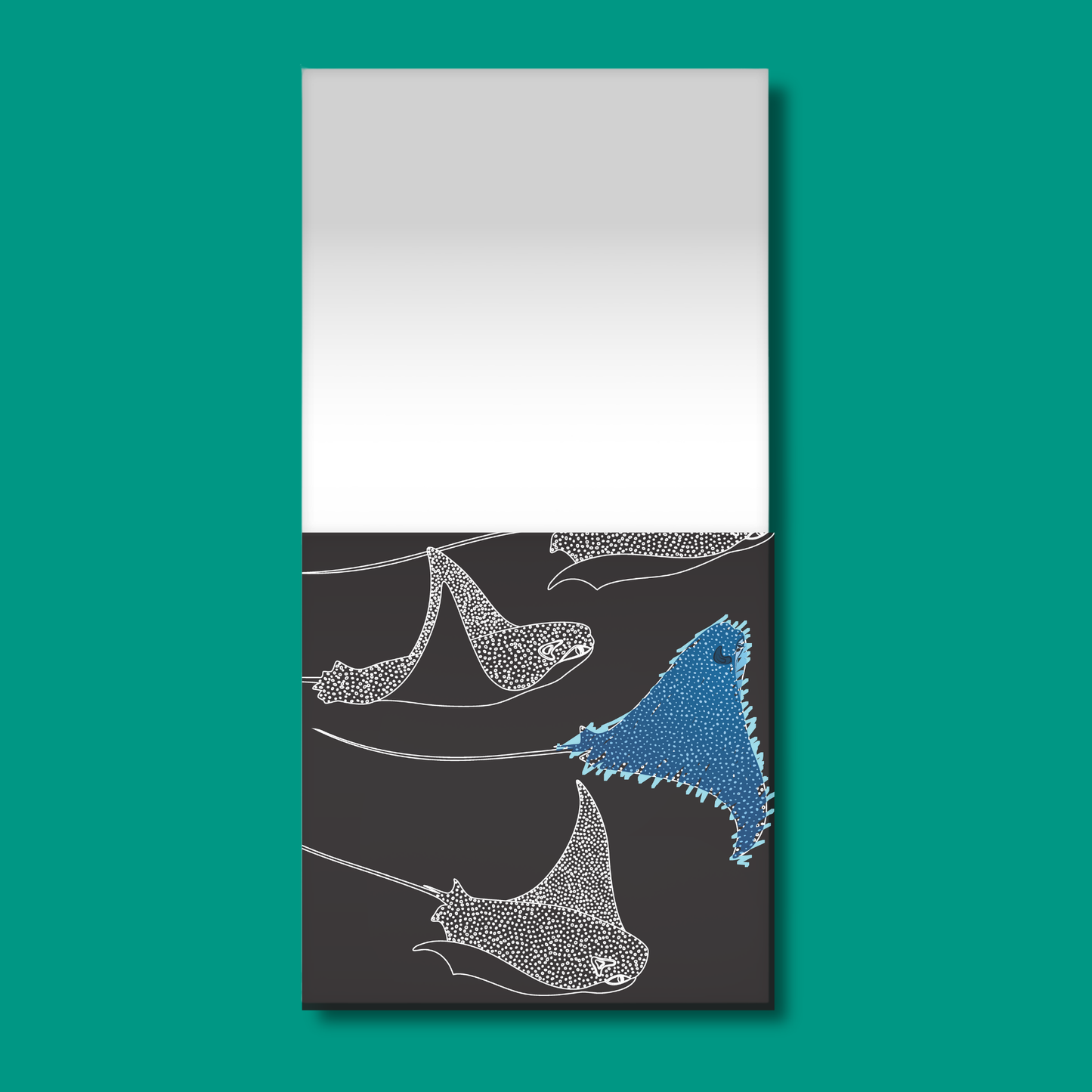 Ocean Wonders Colour and Scratch Book