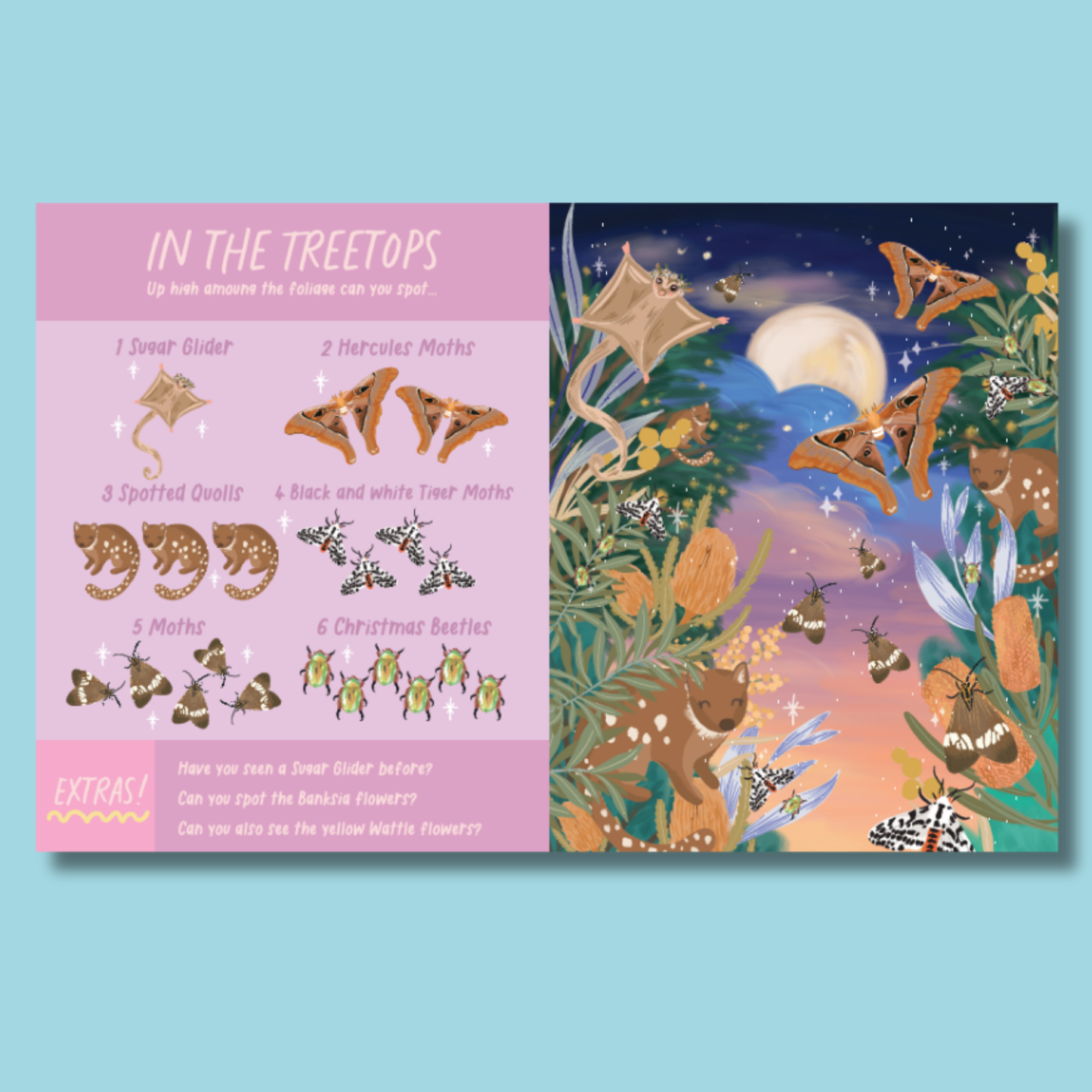 Nocturnal Creatures Search and Find by Christie Williams