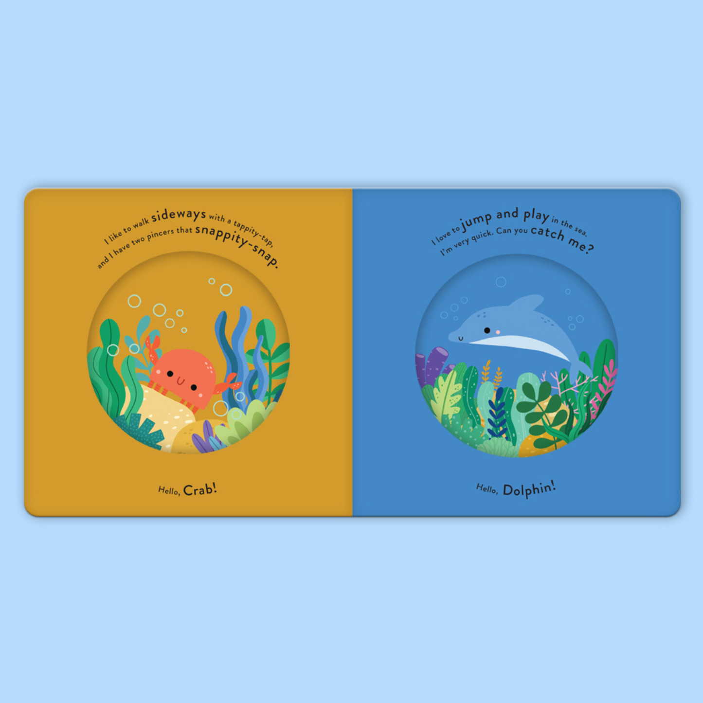 First Animals: In the Ocean