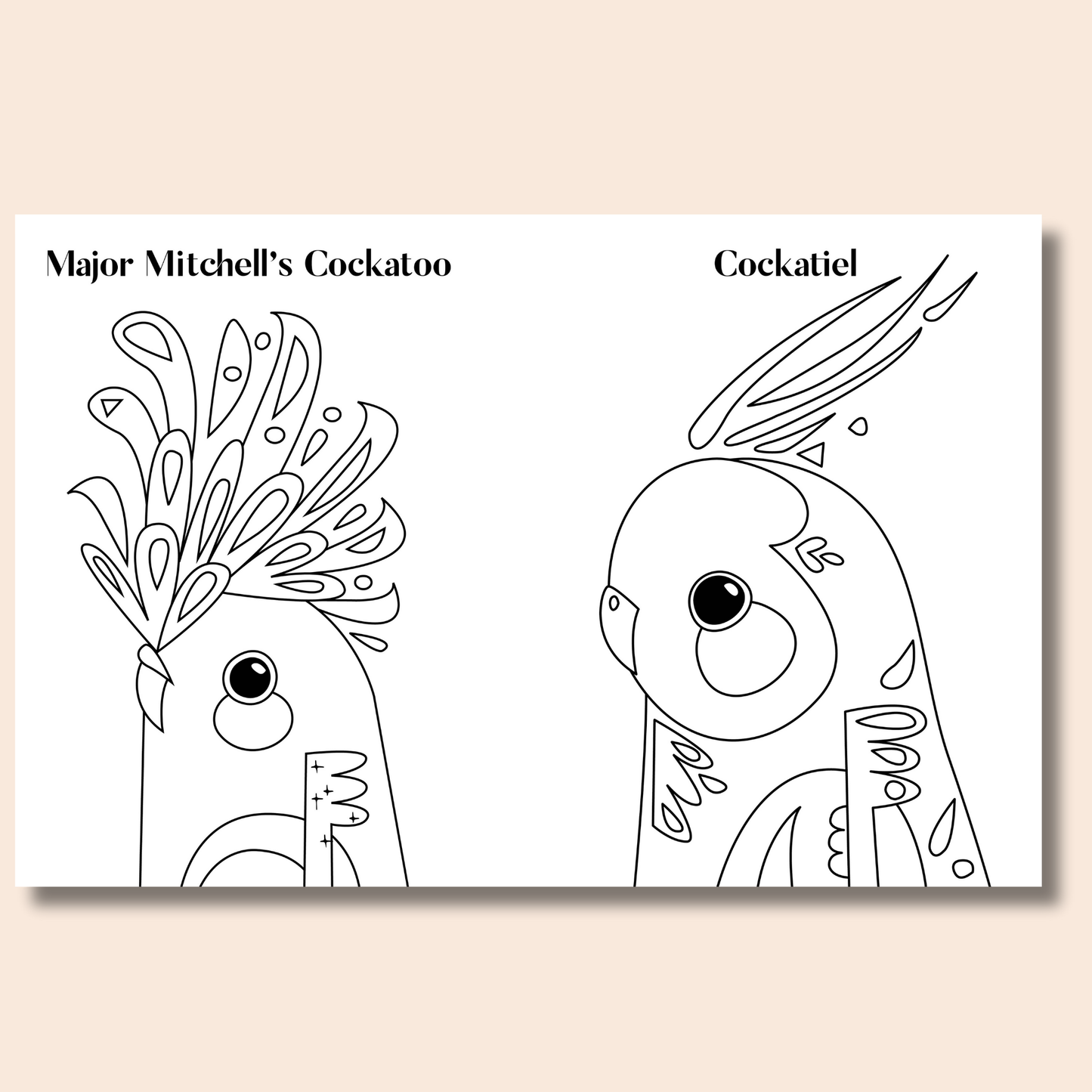 Pete Cromer: Australian Animals Colouring Book