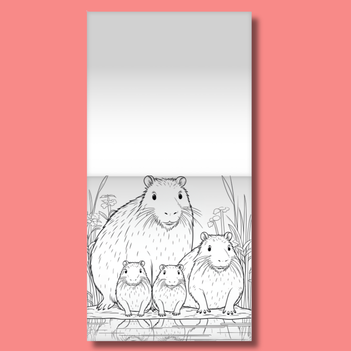 Be Cappy Colour and Scratch Kit