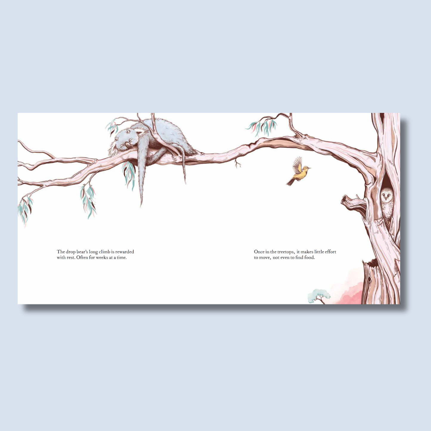 The Drop Bear by Hiro Inkin and Chris Edser