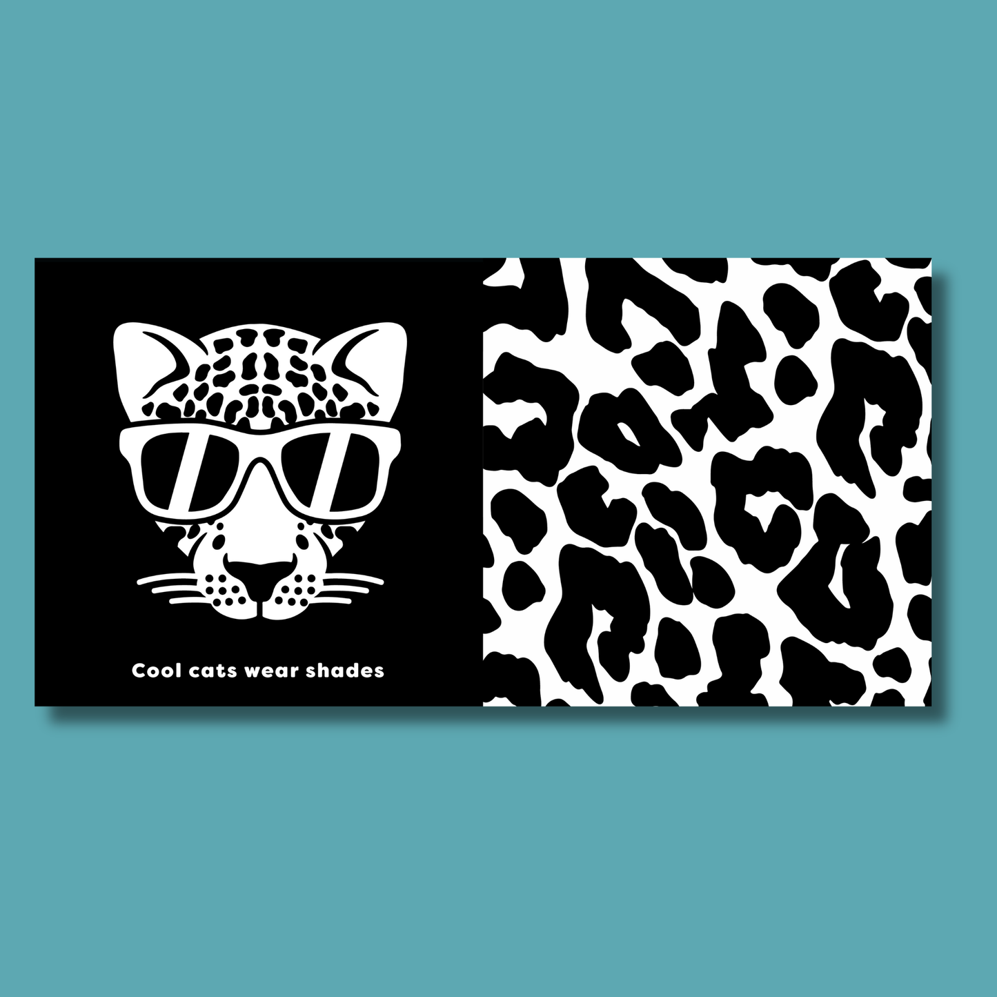 The Contrast Book of Cool Animals by Cara Jane Diffey