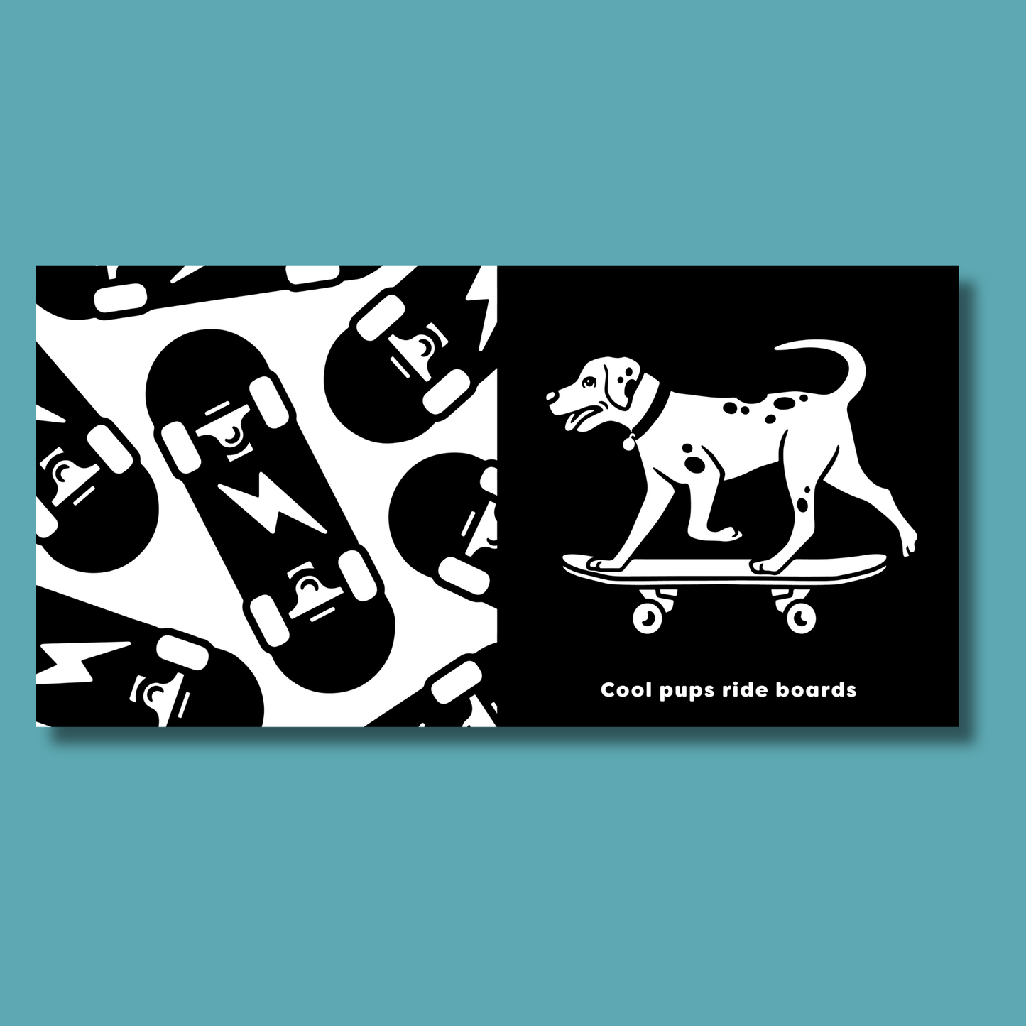 The Contrast Book of Cool Animals by Cara Jane Diffey