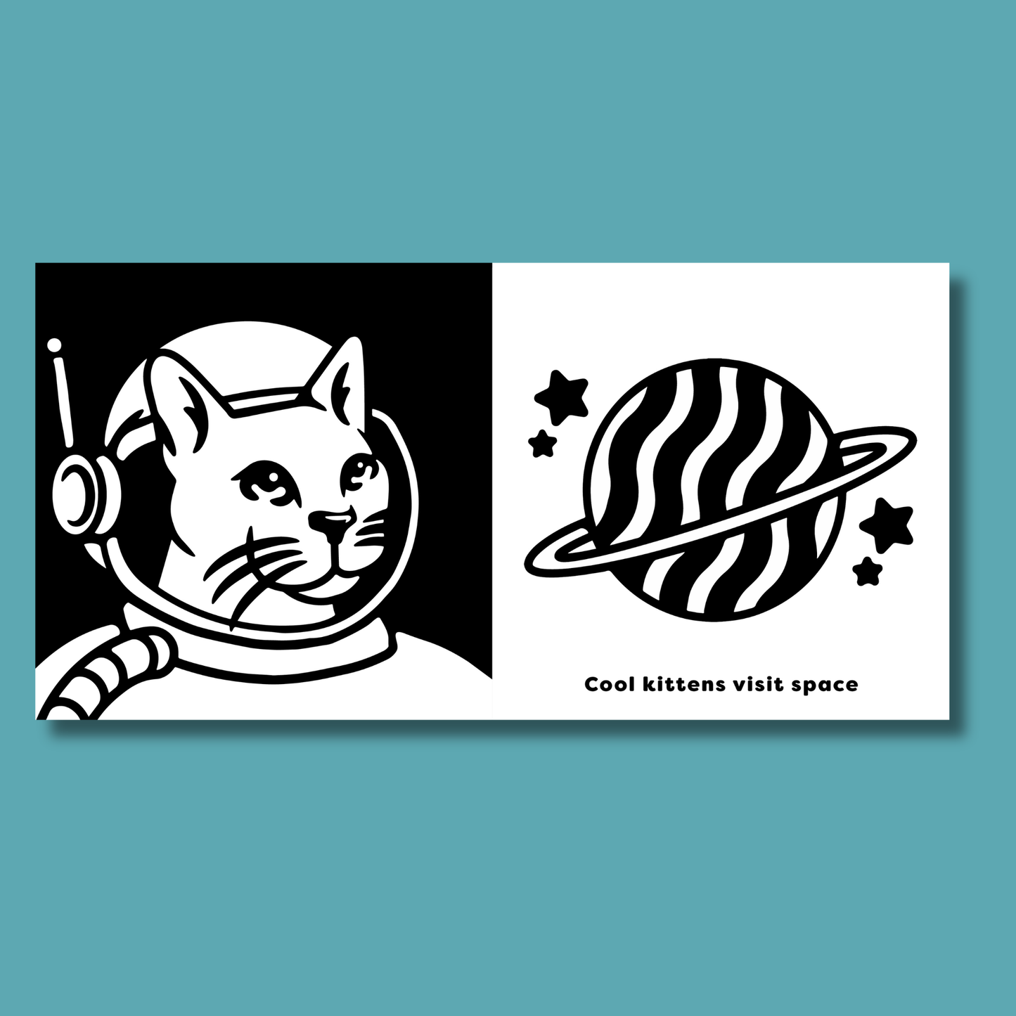 The Contrast Book of Cool Animals by Cara Jane Diffey