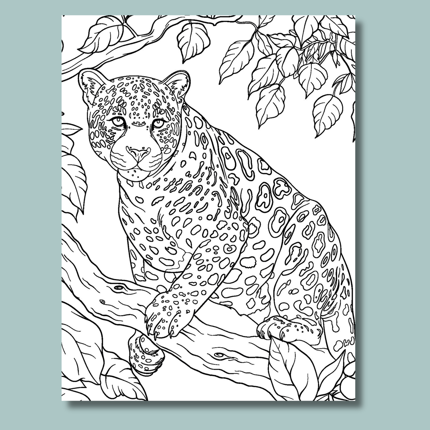 Jungle Dreams Colour and Scratch Kit