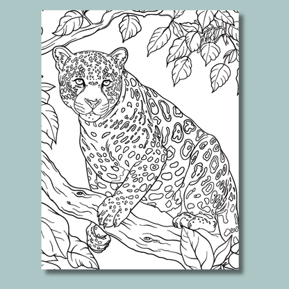 Jungle Dreams Colour and Scratch Kit