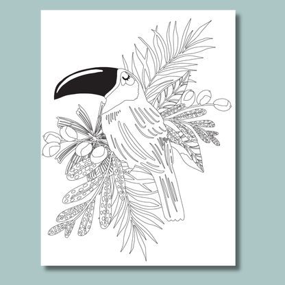 Jungle Dreams Colour and Scratch Kit