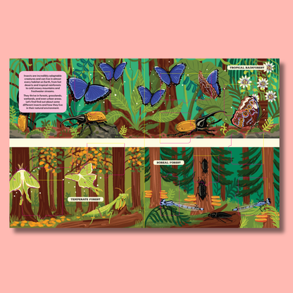 A Lift-the-Fact Book: Insects