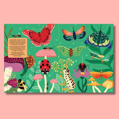 A Lift-the-Fact Book: Insects