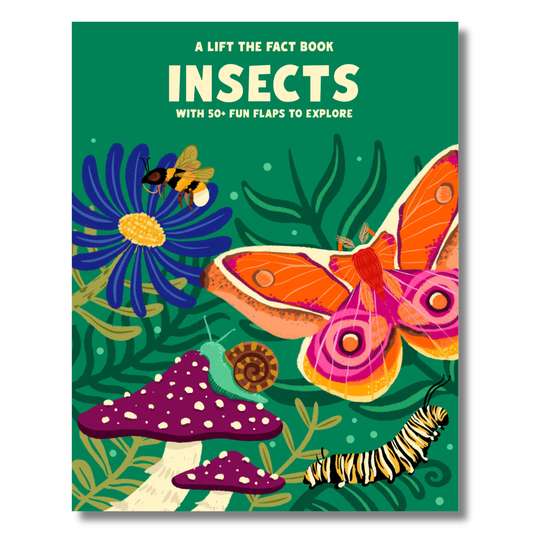 A Lift-the-Fact Book: Insects