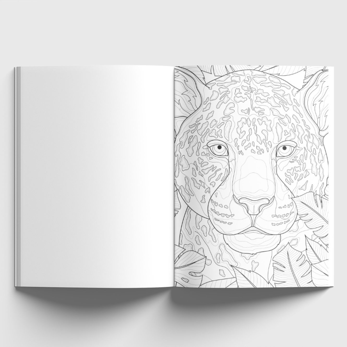 Jungle Dreams Colouring Book