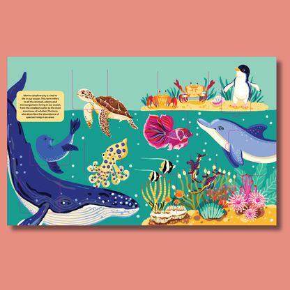 A Lift-the-Fact Book: Ocean Life