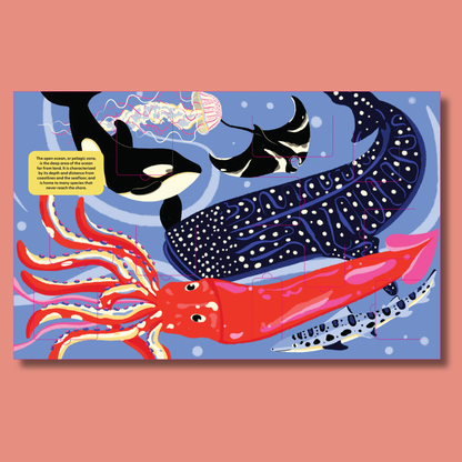 A Lift-the-Fact Book: Ocean Life